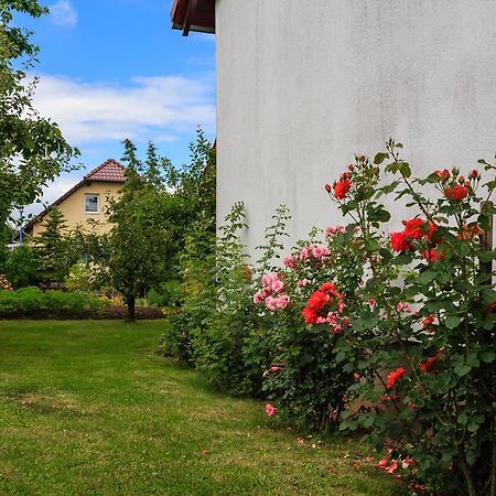 Hotel-Pension Am Rosarium Sangerhausen Eksteriør bilde