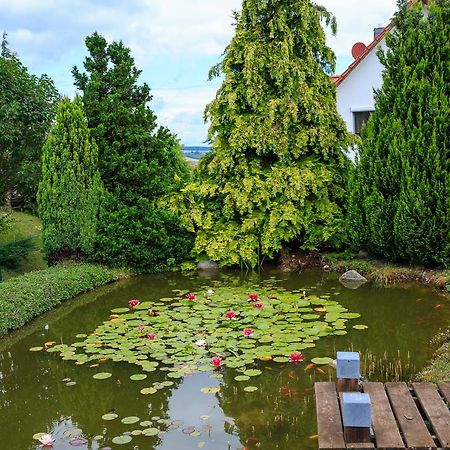 Hotel-Pension Am Rosarium Sangerhausen Eksteriør bilde