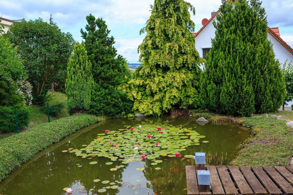 Hotel-Pension Am Rosarium Sangerhausen Eksteriør bilde