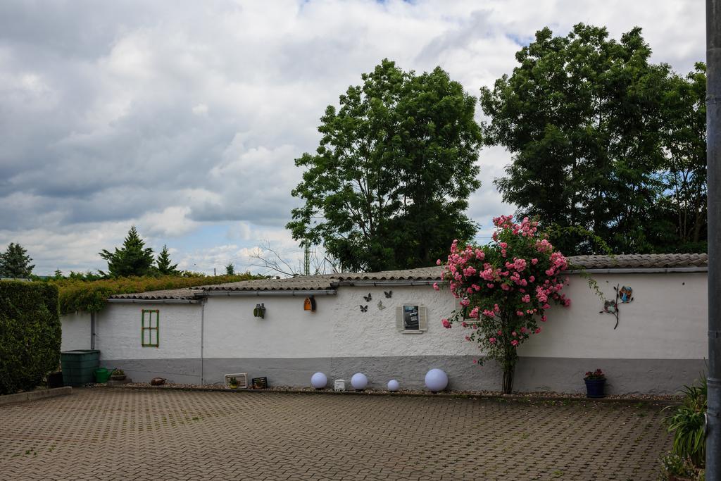 Hotel-Pension Am Rosarium Sangerhausen Eksteriør bilde